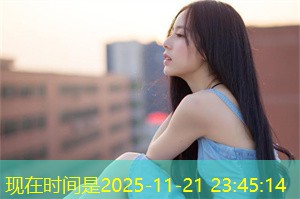 上海城市治理下的社会公平研究 上海城市治理下的社会公平研究